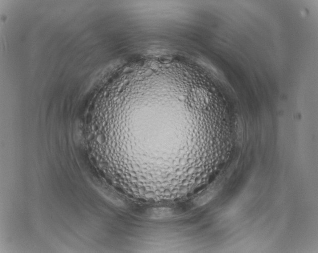 X0000073930361200609011840