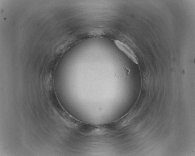 X0000073930364200609011840