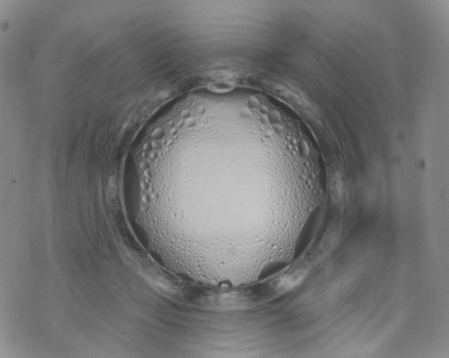 X0000073930365200609011840