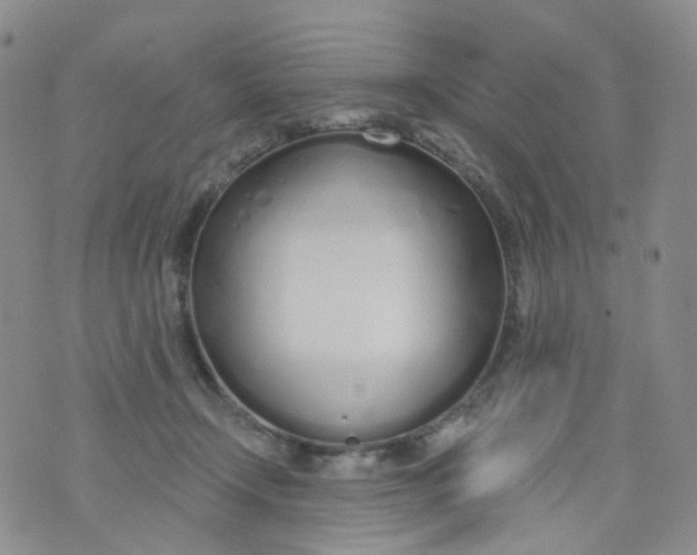 X0000073930366200609011840