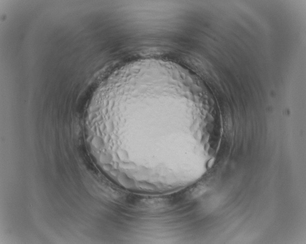 X0000073930367200609011840