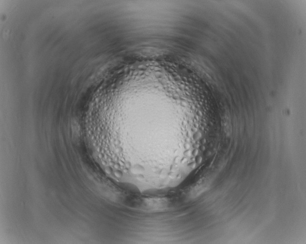 X0000073930371200609011840