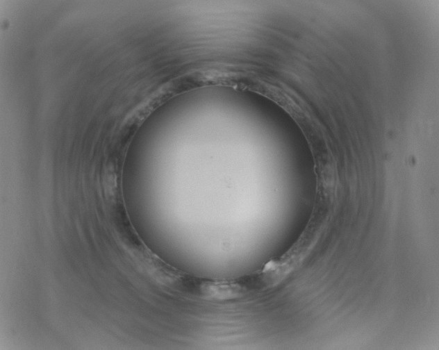 X0000073930372200609011840