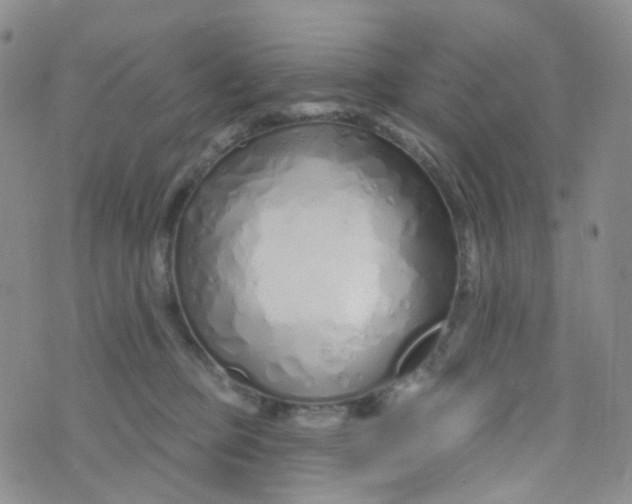 X0000073930373200609011840