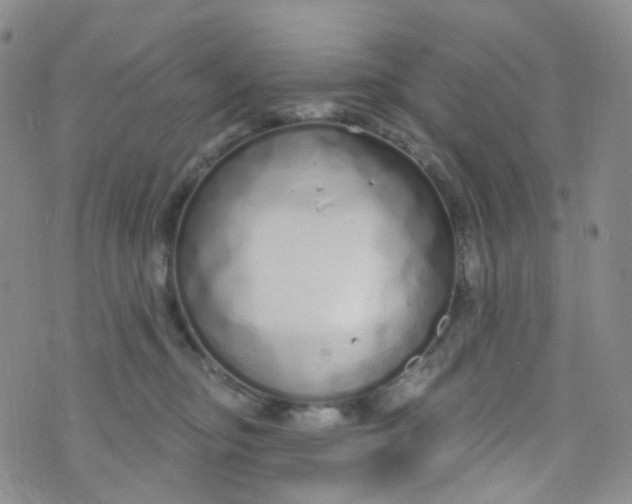 X0000073930374200609011840