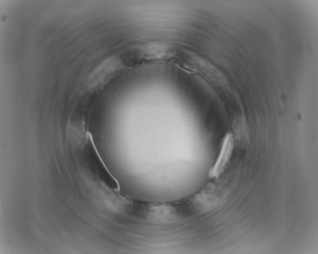 X0000073930376200609011840