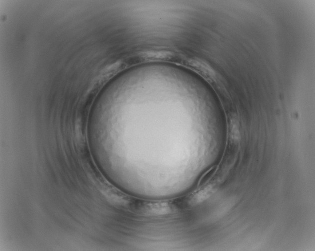 X0000073930377200609011840