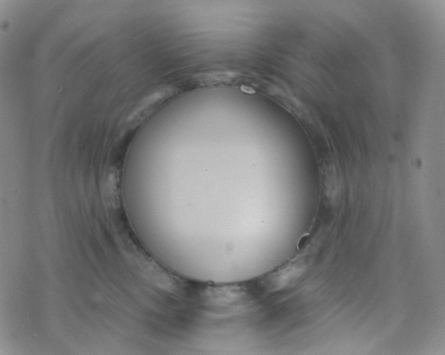 X0000073930378200609011840