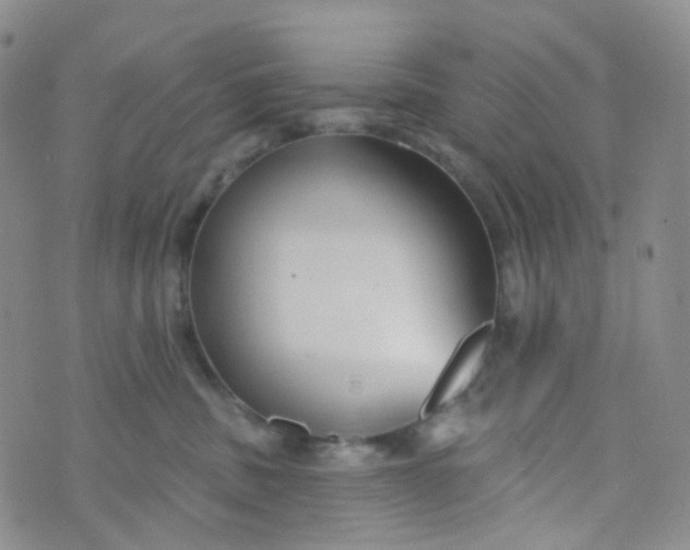 X0000073930379200609011840