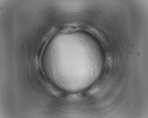 X0000073930381200609011840