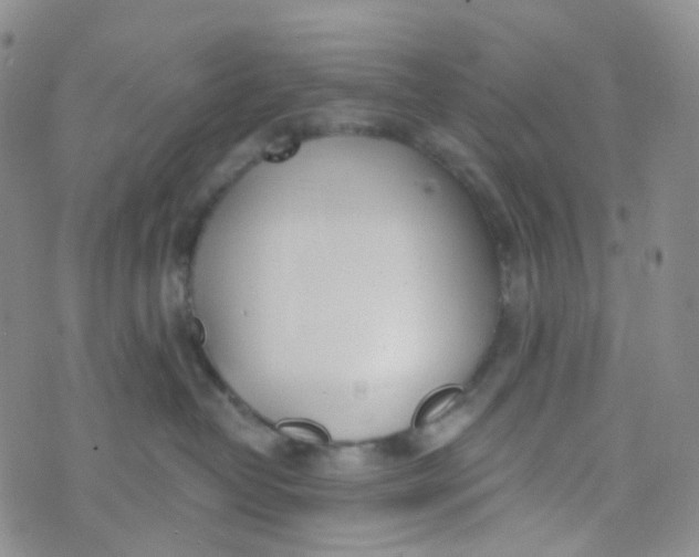 X0000073930382200609011840