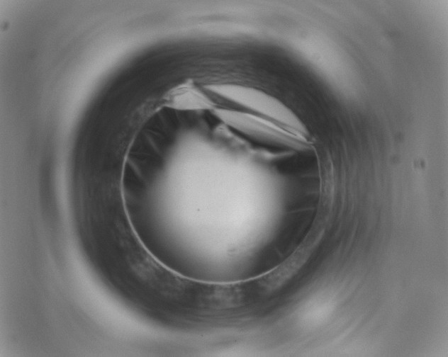 X0000073930383200609011840