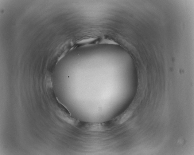 X0000073930384200609011840