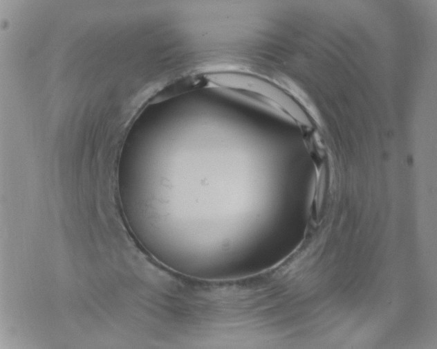 X0000073930385200609011840