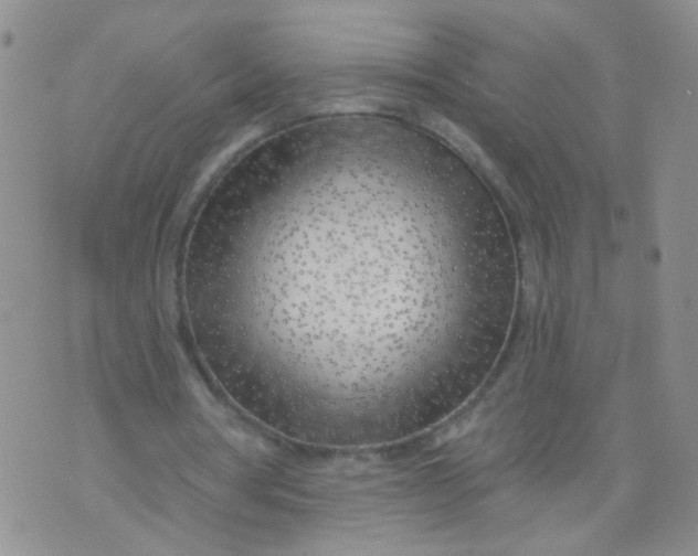 X0000073930386200609011840