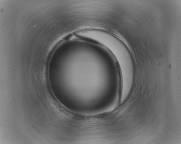 X0000073930387200609011840