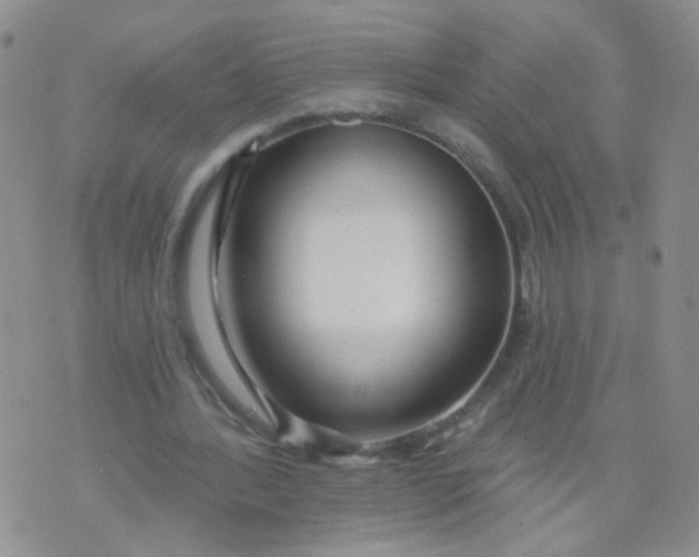 X0000073930388200609011840