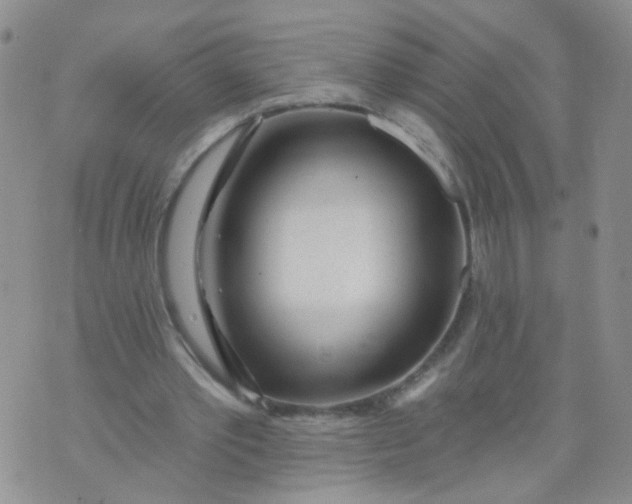 X0000073930389200609011840