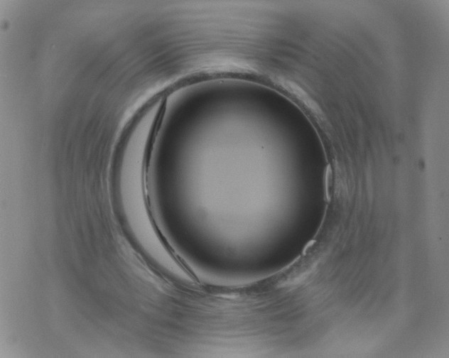 X0000073930391200609011839