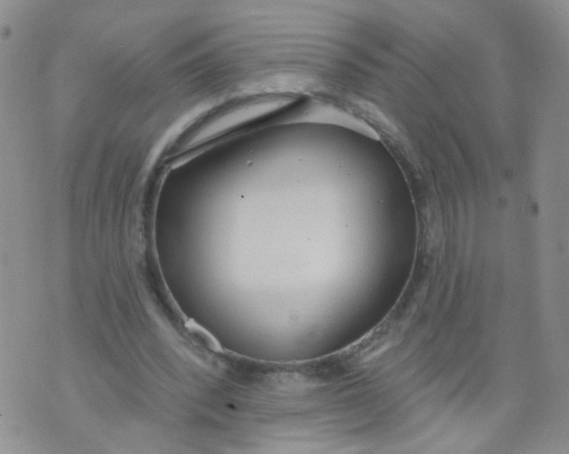 X0000073930392200609011839