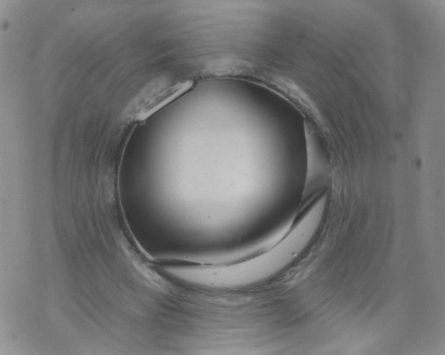 X0000073930393200609011839