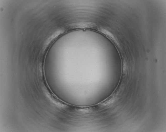 X0000073930394200609011839