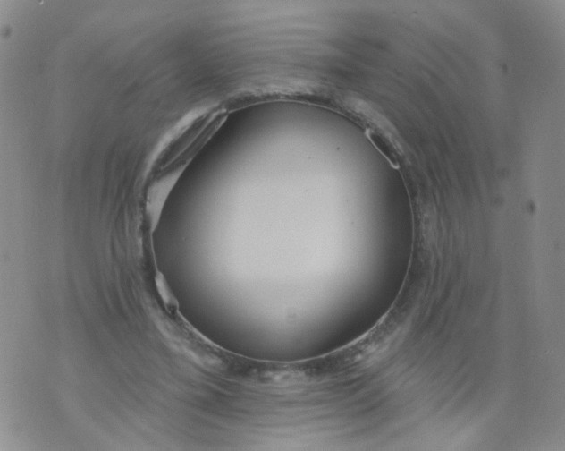 X0000073930395200609011839