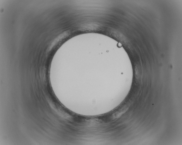 X0000073930396200609011839