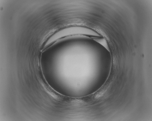 X0000073930397200609011839