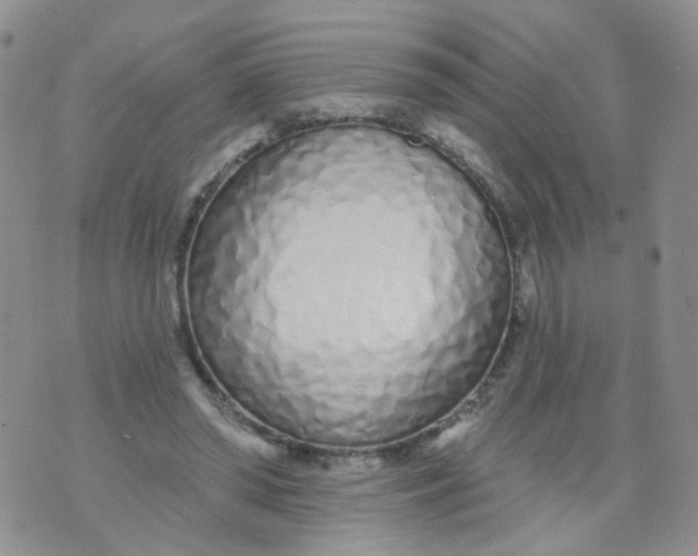 X0000073930398200609011839