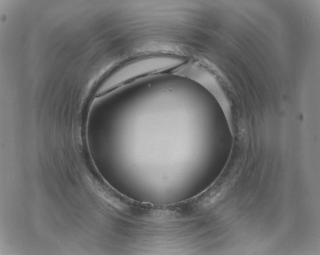 X0000073930399200609011839