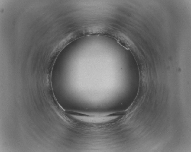 X0000073930401200609011839