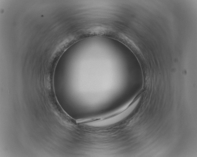 X0000073930403200609011839