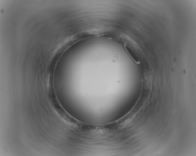 X0000073930404200609011839