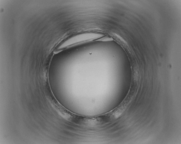 X0000073930405200609011839