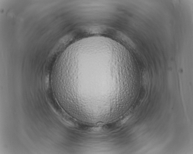 X0000073930406200609011839