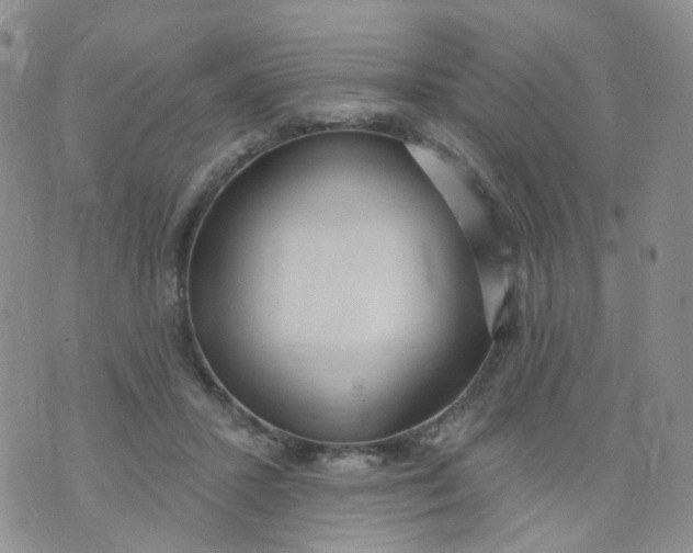 X0000073930407200609011839