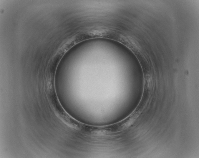 X0000073930408200609011839