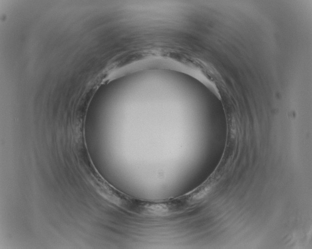 X0000073930409200609011839