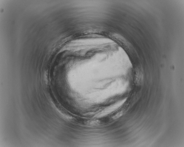 X0000073930410200609011839