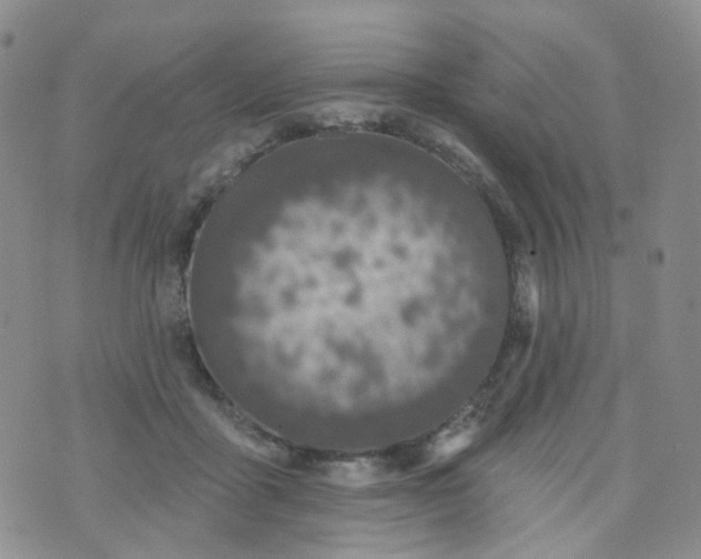 X0000073930411200609011839