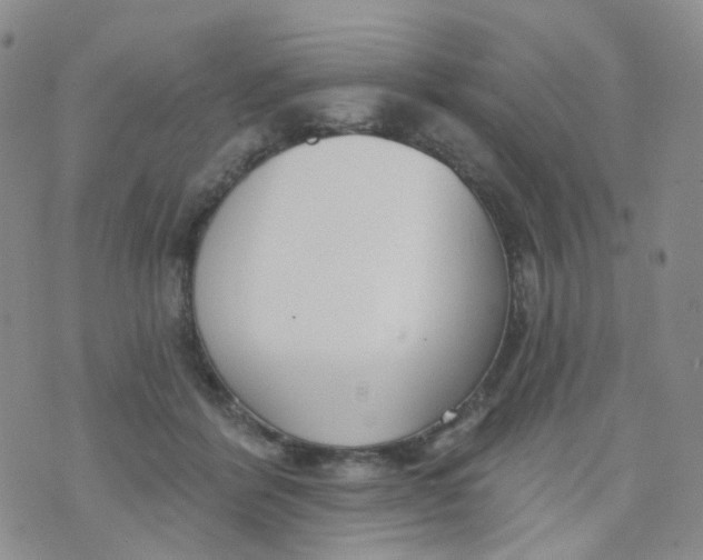 X0000073930412200609011839