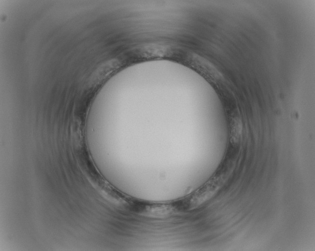 X0000073930414200609011839