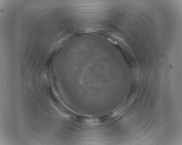 X0000073930415200609011839