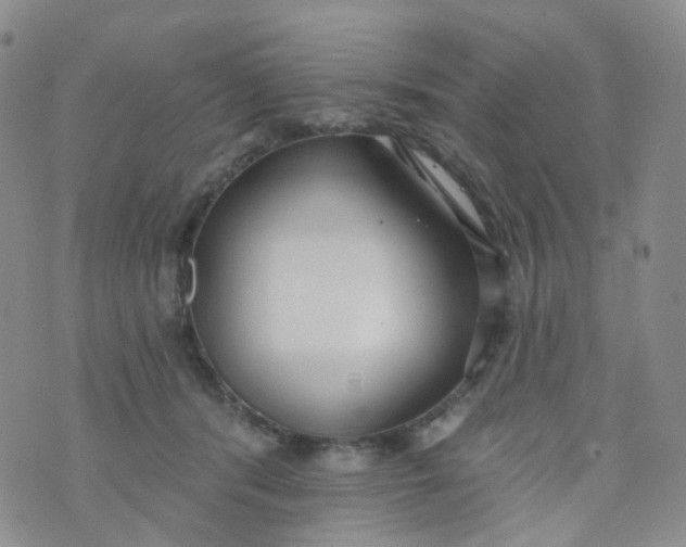 X0000073930416200609011839