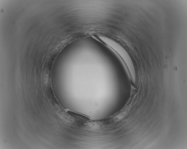 X0000073930417200609011839