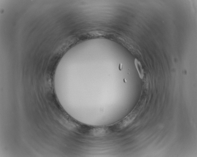 X0000073930418200609011839