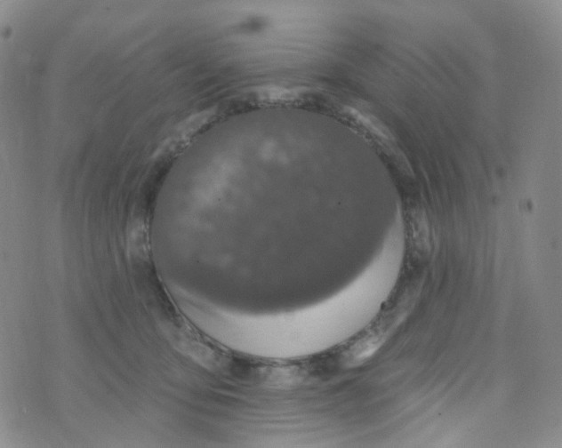 X0000073930419200609011839