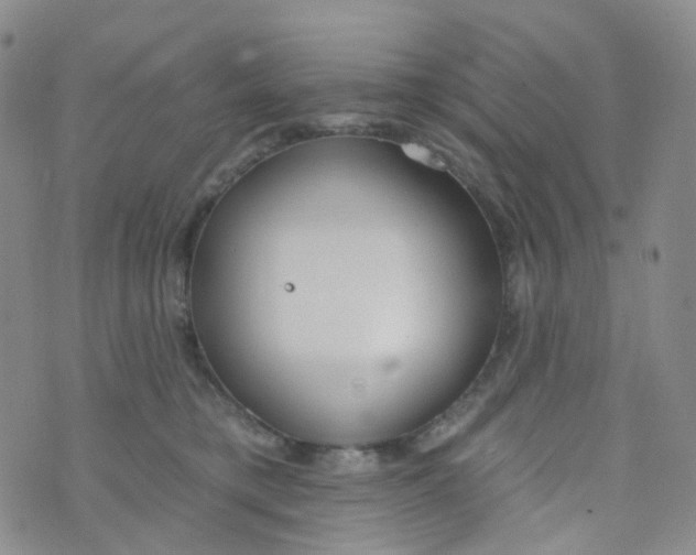 X0000073930421200609011839