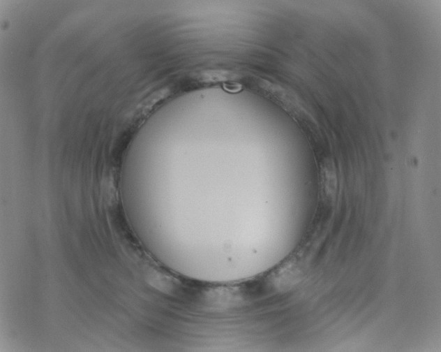 X0000073930422200609011839